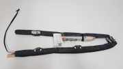 SRS Modul Dach links CITROËN C3 II 1.4 34154619A