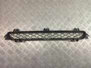Gitter vorne unten BMW X3 (F25) xDrive 28 i 7210466