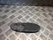 Gitter Grill vorne rechts MERCEDES-BENZ S (W220) S 320 CDI (220.026, 220.126) A2208850223 2208850223