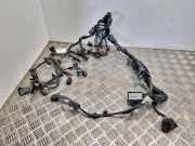 Motor Kabelbaum FORD S-MAX 2.0 TDCi Du5t12c508
