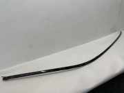 Dachleiste links MERCEDES-BENZ E (W210) E 200 CDI (210.007)