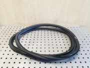 Türdichtung Audi A3 Cabriolet (8V) 8V4833721B