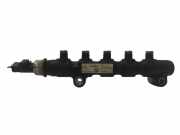 Einspritzleiste Citroen C4 Grand Picasso (U) 965459268