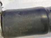 Verteilerrohr Kraftstoff Volvo XC90 II (256) 31478586