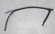 Türgummi links vorne VW Passat B7 (362) 561837431A
