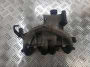 Auspuffkrümmer VW Golf V Plus (5M, 521) 03G129713