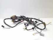 Kabelbaum MAZDA PREMACY (CP) 2.0 TD C10067060D