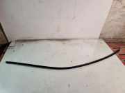 Dachleiste links BMW 5 (F10) 525 d 7238256