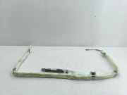 SRS Modul Dach links BMW X6 (E71, E72) xDrive 50 i 6162719d 6979911