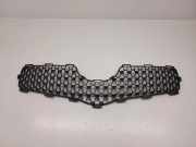 Vorderer oberer Gitter