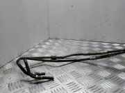 Andere Röhren VOLVO S80 II (AS) D5