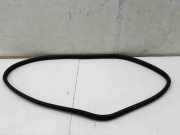 Türdichtung Mini Mini Clubman (F54)