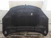 Motorhaube Renault Megane III Coupe (DZ) TLFRAN