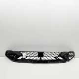 Gitter vorne unten CUPRA FORMENTOR 2.0 TSI 4Drive 5FF853667A