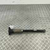 Stoßdämpfer hinten links ALFA ROMEO STELVIO (949_) 2.0 Q4 50559657