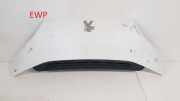Motorhaube PEUGEOT BOXER Furgon 2.2 HDi 130
