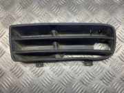 Gitter vorne unten VW GOLF IV (1J1) 1.9 SDI 242510