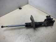 Stoßdämpfer vorne rechts FIAT ULYSSE (179_) 2.0 JTD