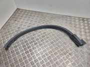 Rear Arch Liner Trim HONDA CR-V III (RE_) 2.0 i 4WD (RE5) 74410