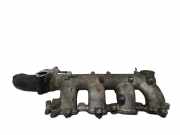 Ansaugbrücke NISSAN X-TRAIL (T30) 2.2 dCi 4x4 NL0789