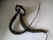 Antenne AUDI A8 D3 (4E2, 4E8) 4.2 quattro 4E0035503R