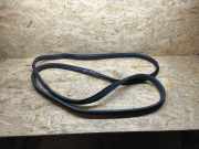 Türgummi links vorne Opel Vivaro B Kasten (X82)