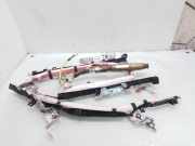 Dach SRS rechts HONDA CR-V III (RE_) 2.0 i 4WD (RE5) 12135