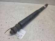 Stoßdämpfer hinten links OPEL ASTRA F Hatchback (53_, 54_, 58_, 59_) 1.7 TDS 1234