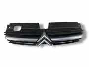 Vorderer oberer Gitter CITROËN C5 II Break (RE_) 2.0 HDi (RERHRH) 28857M
