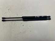 Gasfeder für Motorhaube BMW 3er Coupe (E92) 51237129190
