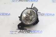 Nebelscheinwerfer links vorne BMW X5 (E70) 7184317