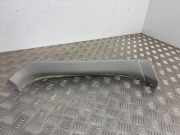 Kofferraumdeckelverkleidung RENAULT KOLEOS I (HY_) 2.5 4x4 (HY0C, HY0N) 90903