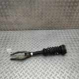 Stoßdämpfer vorne links LAND ROVER RANGE ROVER VELAR (L560) 2.0 D 4x4 J8A2-18045-AA