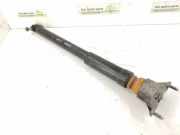 Stoßdämpfer hinten links MERCEDES-BENZ B (W246, W242) B 180 CDI / d (246.212)