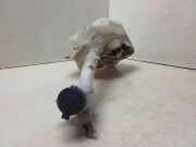 Fensterwaschtank ALFA ROMEO 159 (939_) 1.9 JTS