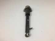 Stoßdämpfer rechts hinten BMW X6 (E71, E72) 6783018