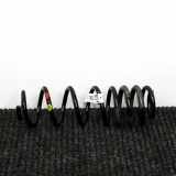 Schraubenfeder hinten links