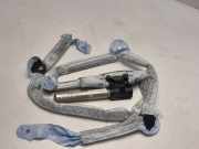SRS Modul Dach links AUDI A6 (4F2, C6) 3.0 TDI quattro 4F5880742C