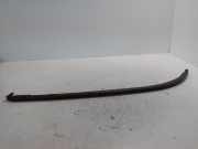 Scheinwerferleiste BMW 5er (E39) 8159305