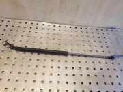 Heckklappe Gasdruckfeder links TOYOTA YARIS (_P1_) 1.4 D-4D (NLP10_)