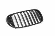 Vorderer oberer Gitter BMW 7 (G11, G12) 750 i, Li 7369904 7357012
