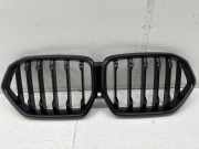 Vorderer oberer Gitter BMW X6(G06) (G06, F96) xDrive 30 d 7481387