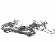 Kabelbaum Toyota C-HR (X1)