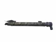 Einspritzleiste Hyundai Santa Fe II (CM) 3140027400