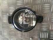 Nebelscheinwerfer links vorne Renault Laguna II (G) 8200002469