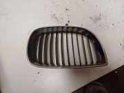 Vorderer oberer Gitter BMW 1 (E81) 118 d 7128614