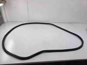 Türgummi links vorne Porsche Cayenne 2 (92A) 7P0867365H