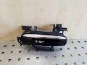 Türgriff links hinten Audi A6 (4F, C6) 4F0837885