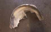 Radhaus links hinten Subaru Tribeca (B9) 59122XA01A