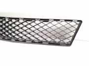 Kühlergrill unten Mercedes-Benz GLK-Klasse (X204) A2048853923